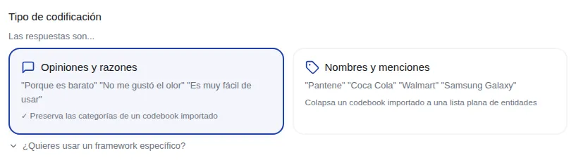 Coding type with the Opinions and reasons and Names and mentions options